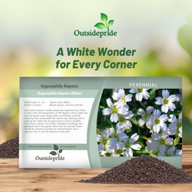 Outsidepride Gypsophila White Creeping Baby's Breath Seeds - 10000 Pcs. Perennial, Easy to Grow & Drought Tolerant Wild Flower Seed for Planting Vibrant Bloom in Pollinator Garden & Floral Arrangement