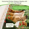 Enhon 12 Pack Chicken Nipples Waterer with 1/2'' PVC Tee