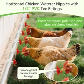 Enhon 12 Pack Chicken Nipples Waterer with 1/2'' PVC Tee Fittings, DIY Auto Chicken Waterering System, Horizontal Side Mount Poultry Water Nipple Waterer Drinker and for Ducks Quail and Other Poultry