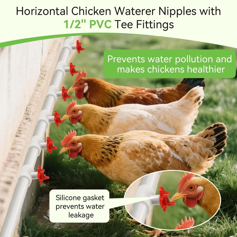 Enhon 12 Pack Chicken Nipples Waterer with 1/2'' PVC Tee