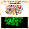Tinoaly 36pcs Mini Resin Axolotl, Glow in The Dark Miniature