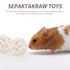 1 Hamster Cage, 2 Takraw Balls, Pet Toy Nest, Pet