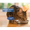 3 Pack Stainless Steel Cat Bowls - Whisker Fatigue Shallow
