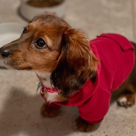 Pocket Sweater hat Casual Sports Hoodie Autumn Winter Small Medium Dog/cat Clothes (Red, X-Small)