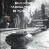 Blue Lotus 19 Inch Large Incense Sticks -Jumbo Long Burning