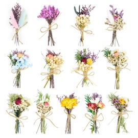 Baseca Dried Flowers - 13 PCS Mini Dried Flower Bouquet, Natural Flowers Forget Me Not Myosotis Sylvatica Babysbreath, Floral Plant Flower for Crafts DIY Photo Props Gift Décor