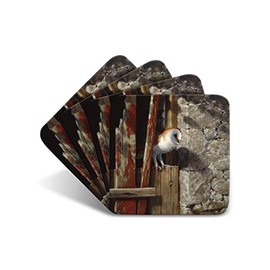 Barn Owl Doorway Drinks Coasters by Wildlife Artist Julian Friers - Set of 4 Barn Owl Coasters - Non-Slip, Cork Table Coasters
