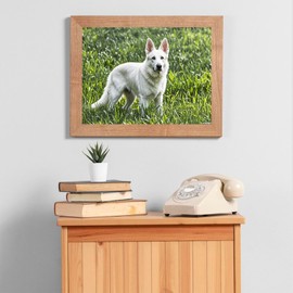 LIHVBDY White German Shepherd Grassland Diamond Dots Painting DIY Kits 5D Diamond Art Full Round Drill Crystal by Number Embroidery Arts and Crafts for Living Room Bedroom Home Wall Decor 12x16 inch