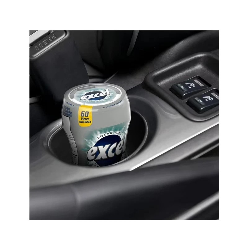 EXCEL, Polar Ice Flavored Sugar Free Chewing Gum, 60 Pieces,