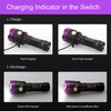 AHOME V30 UV 385-395nm Blacklight Flashlight [USB Rechargeable] Black Light