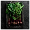 Everwilde Farms - 1/4 Lb Organic Lutz Green Leaf Beet