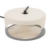Sticky Dome Flea Capture Trap Bug Trap with 2 Glue