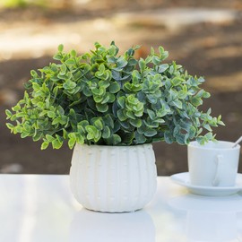 ENOVA FLORAL Artificial Potted Plants, Fake Green Eucalyptus Plants in White Ceramic Pots, Small Fake Plants for Living Room, Shelf, Bathroom, Home Decor Indoor