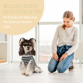Etdane Dog Diapers Sanitary Panties Physiological Period Shirts Surgical Recovery Suits for Male and Female Dogs (Medium, Gray White Stripe)