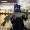Robinson Fishing Lure for Large Predatory Fish - Jerkbait Wobbler,