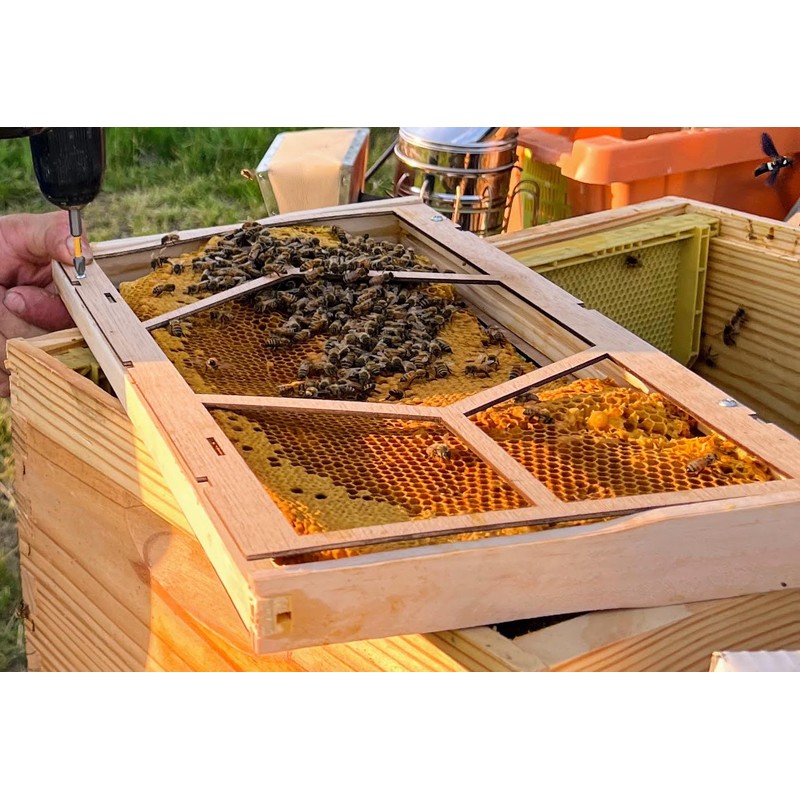 Anthony's Beehive New Essential Beekeeping Tool for Easily Securing Hive