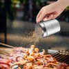 ZERUIDM Stainless Steel Salt and Pepper Shakers Set, 10 OZ