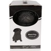 Vivid Arts Pet Pals Black Pug Puppy | Resin Home