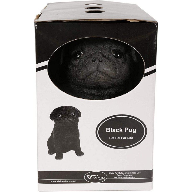 Vivid Arts Pet Pals Black Pug Puppy | Resin Home