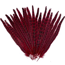 20pcs 10-12 inches Red Colored Natural Pheasant Tail Feathers for Crafts Pheasant Tails DIY Hats Wedding Party Decorations