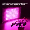 Indoor Plants LED Grow Light 96 2835 Light Bead 100W