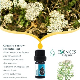 Essences Bulgaria Organic Yarrow Essential Oil - 5ml Excellent for skin care / Essences 불가리아 유기농 야로우 에센셜 오일- 5ml 피부미용 탁월