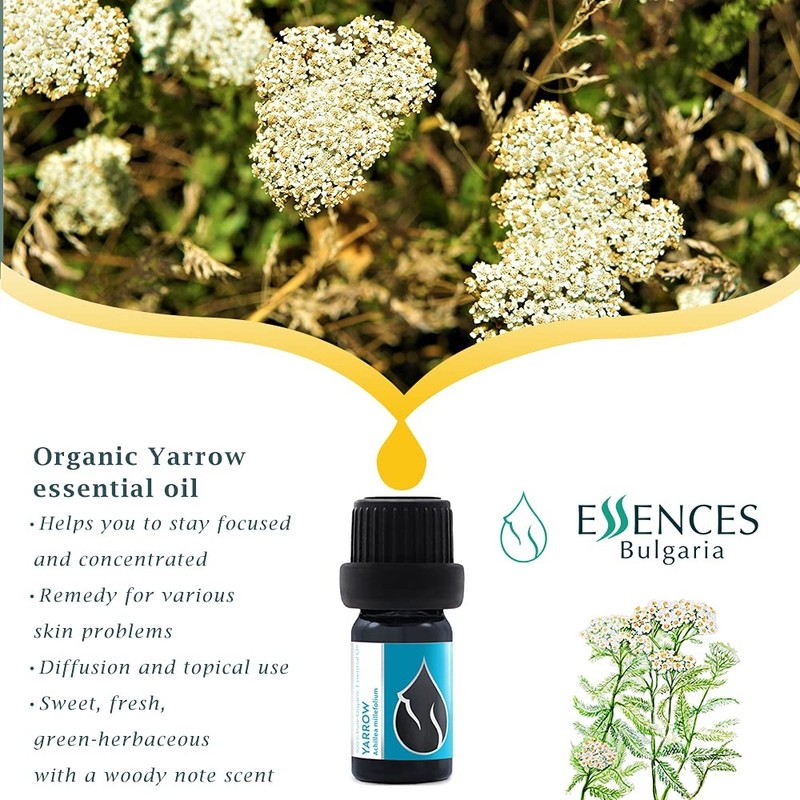 Essences Bulgaria Organic Yarrow Essential Oil - 5ml Excellent for