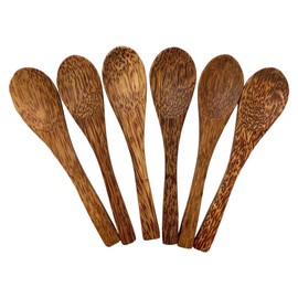 VIE Gourmet Coconut Wood Spoon, Set of 6, 15cm