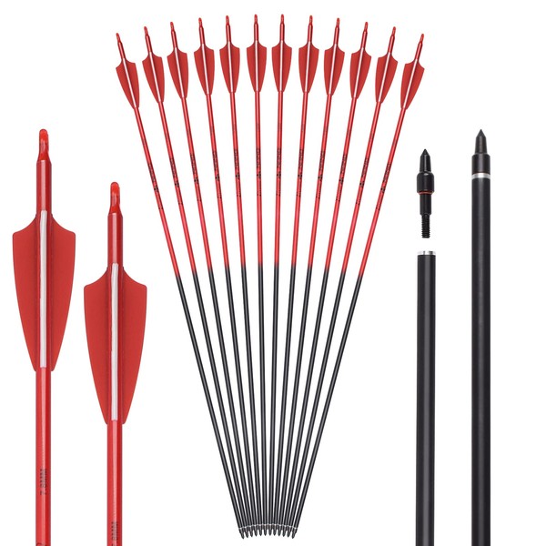 Carbon Arrow Archery 26inch Hunting Target Practice Arrows for Compound