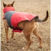 TOUCHDOG 'Lightening-Shield' Waterproof 2-in-1 with Removable Polar Fleece Lining Pet