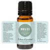 Edens Garden Edens Garden Wind & Sea Essential Oil Blend-