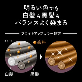 Kao Blaune Lumiest Hair Color Gray Hair Dye 1WB Warm Brown