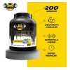 Creatina Monohidratada Guns 1k 200 Varios Sabores