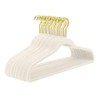 MIZGI Ivory Velvet Hangers 40 Pack,Premium Gold Clothes Hangers Non-Slip