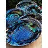 3-Pack Jumbo Abalone Shells 7–8 Inch Seashell Smudge Bowl for