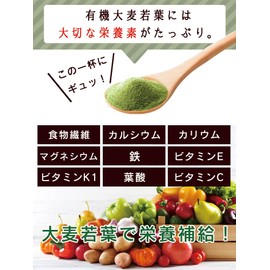 大分県産 有機大麦若葉 100g [ オーガニック 有機 JAS認証 国産 青汁 粉末 健康 美容 パウダー 抹茶風味]