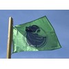 Flag Dino Base Camp 90 x 60 cm (Green)