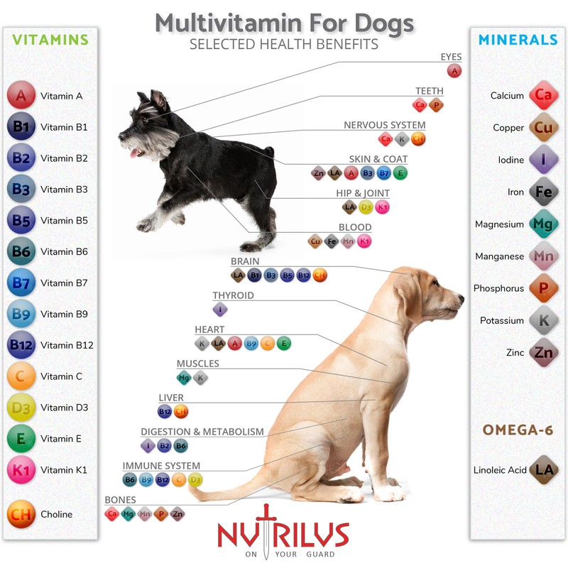 Vitamins and Minerals for Dogs - 120 Chewable Chicken Flavour