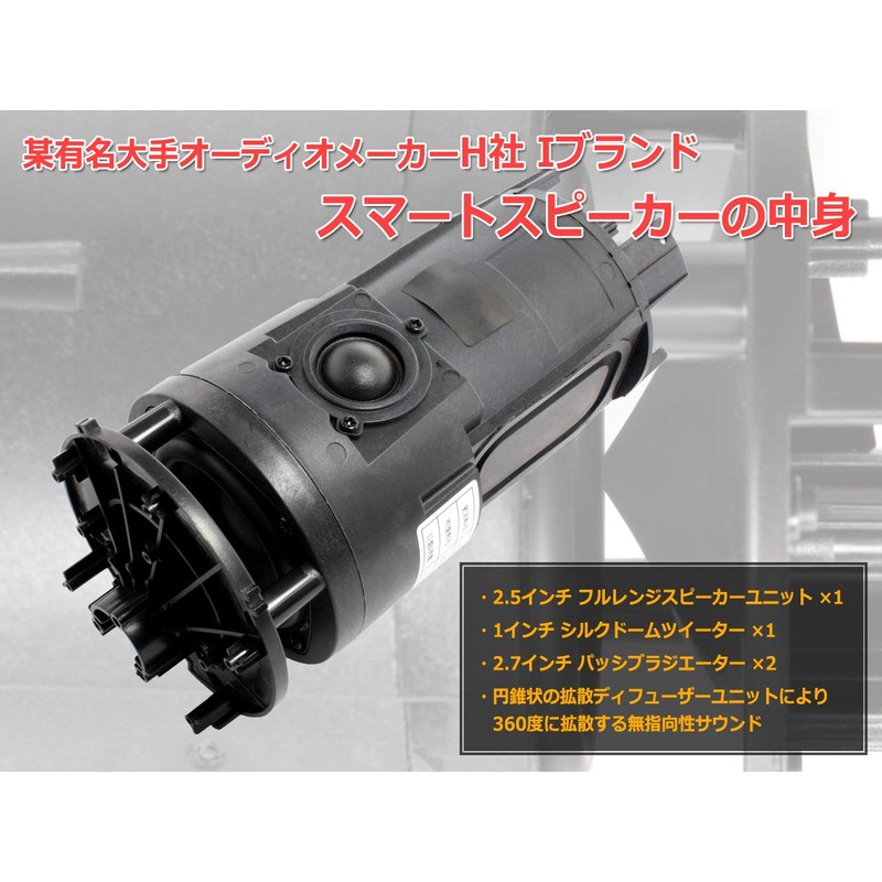 American I Brand Smart Speaker Assembly [Full Range & Tweeter