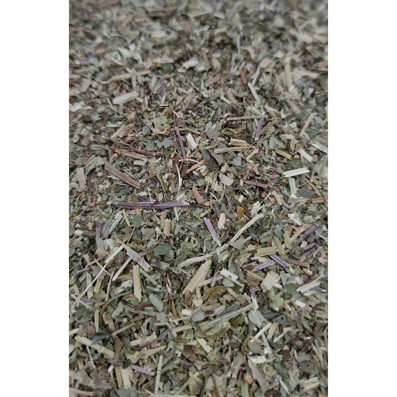 Creeping Charlie Herbal Tea, Made from 100% Glechoma Hederacea, Cut
