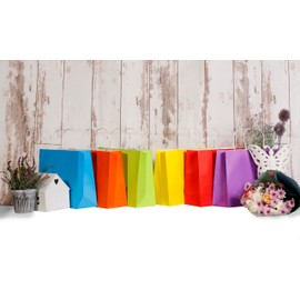 Matissa Pack of 12 Horizontal Paper Gift Bags Plain Color 12.5" x 10" x 4.5" (32 x 25 x 11 cm) (Rainbow Pack)