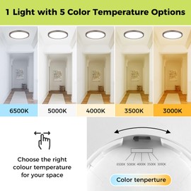 2Pack LED Flush Mount Ceiling Light Fixture Oil Rubbed Bronze, 12Inch 24W, Dimmable&3000K-6500K Adjustable Low Profile Ceiling Lights, 3200LM Modern Lamp for Kitchen, Bedroom, Porch, Hallway