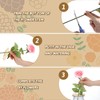 Classicseali 3pcs Flower Grid for Vase,4/5/6 in Floral Grid for