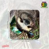 3D LiveLife Cork Coaster - Hangin' Around from Deluxebase. Lenticular