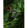 Veggie Fit Kale Spirulina Vitamin B (60 tablets, 2 months