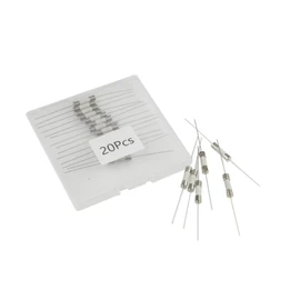 MFLAMO T6.3A Fuses T6.3AH250V Ceramic Axial Lead Fuse 5x20mm/0.2''x0.79'' Delay Slow Melting 6.3AMP 250V Delay Fuse Packag in a Clear Environmental Protection Plastic Box (20PCS), Silver