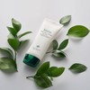 Exoderma Violas Violas Silky Sun Cream 50ml UV protection SPF50+PA+++ / 엑소더마 비올라스 비올라스 실키 선 크림50ml 자외선차단 SPF50+PA+++
