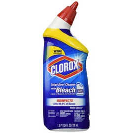 Clorox Toilet Bowl Cleaner with Bleach Rain Clean Scent Bottle 24 Oz, 2-Pack