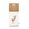 Wrendale Designs - Woodlanders' Set of Four Woodland Animal Fabric