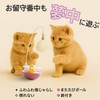 Modern neco 360° Kurukuru Cat Teaser, Eliminates Lack of Exercise,